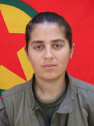 Beritan - Hülya Gök